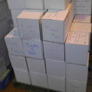 Boxes, full of Thanksgiving meal fixings